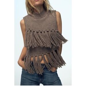 Zara Brown Sleeveless Fringe Knit Top